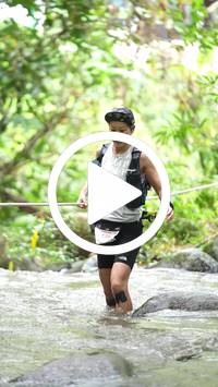 BIB:  <button type="button" onclick="openModal(26820801)" class="btn btn-primary btn-sm float-right" data-toggle="modal" data-target=".modal-high-quality">
                <i class="fa fa-download"></i> Download
                </button>